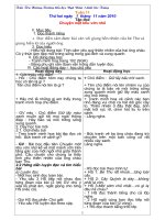 Giáo án 5 Tuần 11(10-11)