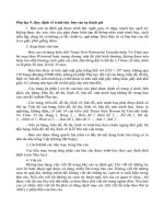 Phụ lục 9 : Quy định về trình bày báo cáo tự đánh giá