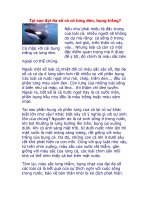 Tại sao đại đa số cá có lưng đen, bụng trắng