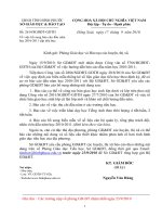 Bổ sung mẫu BC đầu năm cấp TH