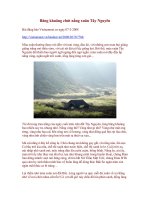 Bâng khuâng chút nắng xuân Tây Nguyên