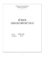 Kế hoạch chuyên môn Ngữ văn lớp 10,11,12