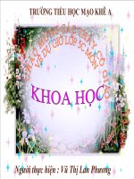 Bài. Phòng bênh viêm não