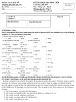 Đề thi chọn HSG cấp trường /môn /anh văn 6