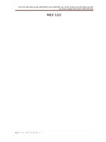 Biến động tỉ giá, thực trạng và giải phápx 