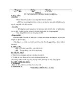 Chuong 1 - tiet 16, 17 - on tap chuong dai 9