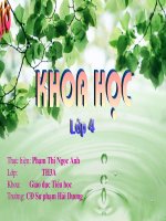 KHOA HOC-B29 TIET KIEM NUOC
