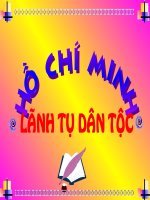 Nguyễn Ái Quốc - Hồ Chí Minh (p3)