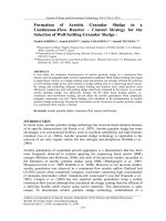 Formation of Aerobic Granular Sludge in a Continuous-Flow Reactor – Control Strategy for the Selection of Well-Settling Granular Sludge