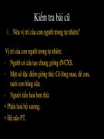 cau tao co the nguoi