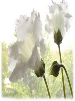 xăng-ti-met khối; đề-xi-met khối