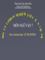 Từ đồng âm - Thi GVG