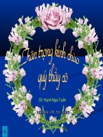 Giáo án hội giảng: Kì diệu rừng xanh