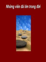 những viên đá lớn trong đời