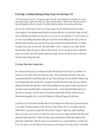 cái bóng và những khoảng trống trong văn chương