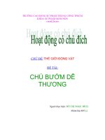 chú bướm dễ thương