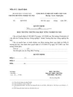 Mẫu Quyết định.