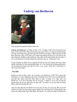 Nhạc sĩ Ludwig van Beethoven người Đức ( 1770 – 1827)