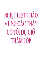 bài 8: Quang hợp ở TV- CB