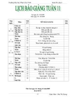 GIÁO ÁN LỚP 3 TUẦN 11 ( CKTKN) DUNG..