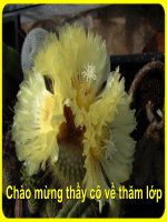 Bai Số bị trừ Số trừ Hiệu