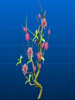 Nhận biết tập nói: Cây đào (Nhà trẻ)
