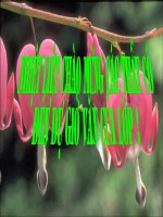 tiet 10: xây dựng đoạn trong văn bản