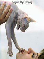 Những động vật kì lạ nhất hành tinh