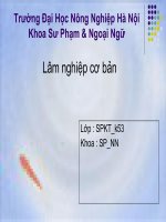 lâm nghiệp cơ bản. chương 1