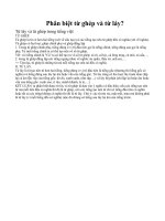 Phân biêt từ láy và từ ghép