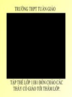 bài gảng điện tử : ôn tập Pt lượng giác