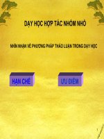 Dạy học theo hợp tác nhóm nhỏ