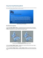 Vùng chọn trong Photoshop(phần 4).