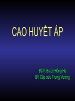 cao huyet ap