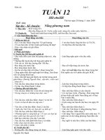 giao an Tổng hợp lơp3 Tuần 12