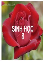 SINH HỌC 8
