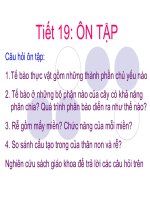 on tap - tiet 19