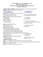 đề thi tin 9hk1(09-10)