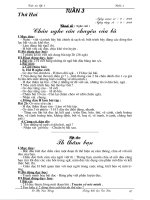 Giao an tuan 3-Theo chuẩn KTKN mới