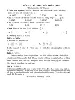 Đề thi HSG lớp 4+5