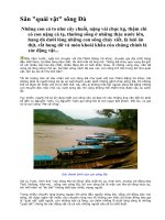 SĂN QUÁI VẬT SÔNG ĐÀ