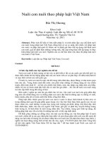 Nuôi con nuôi theo pháp luật Việt Nam