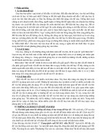 SKKN - Đặt vấn đề vào bài môn Lịch sử (Năm học 2006 - 2007)