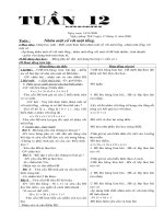 GIÁO ÁN TUẦN 12 CKTKN