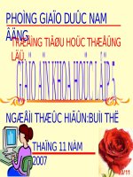 Phòng tránh tai nạn giao thông đường bộ