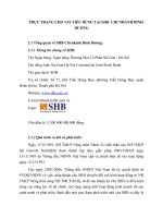 THỰC TRẠNG CHO VAY TIÊU DÙNG TẠI SHB  CHI NHÁNH BÌNH DƯƠNG