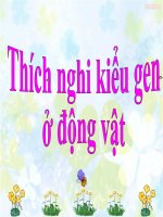 thích nghi kiểu gen ộng vât 1