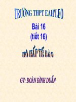 BÀI 16: HÔ HẤP TÉ BÀO