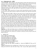 luu tieu han nguyethan.doc