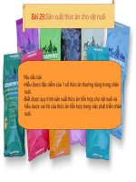Bài 29:Sản xuất thức ăn cho vật nuôi